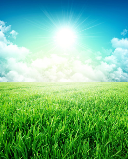 春天的乡村的感觉图片下载