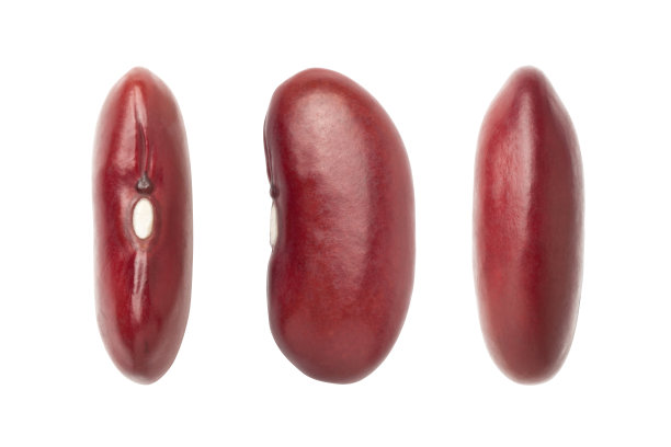 红芸豆图片下载