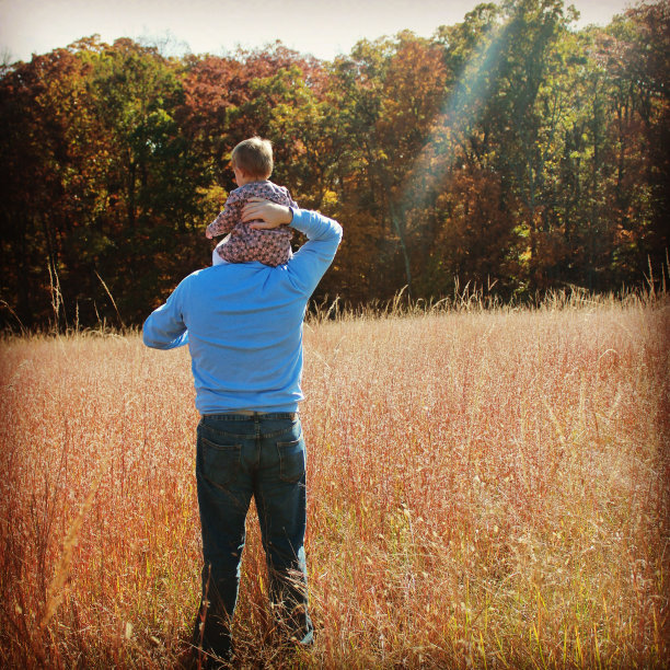 幸福的本质图片下载