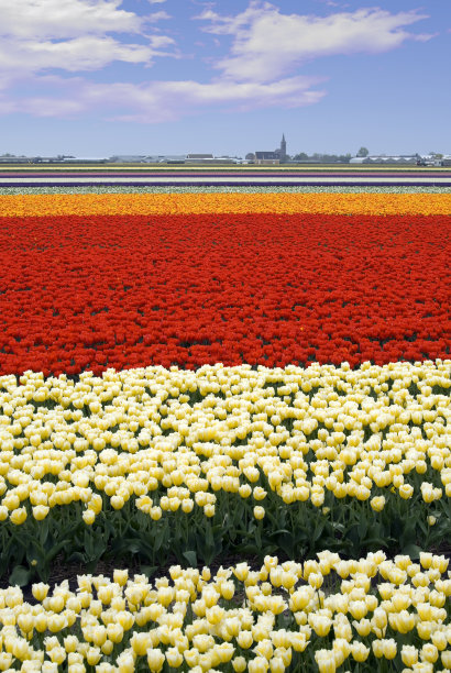 荷兰的风景图片下载