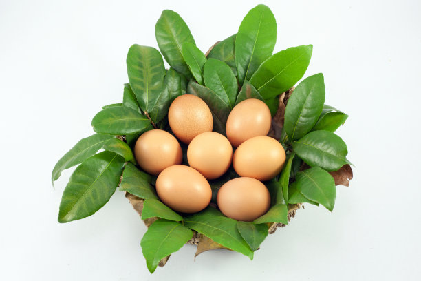 白色分离的棕色鸡蛋图片下载