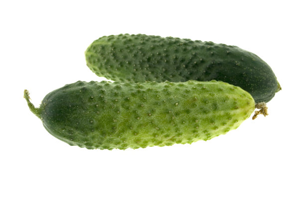 黄瓜图片下载