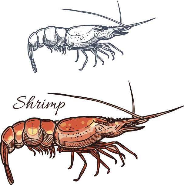 鱼矢量图素材ID：158135014