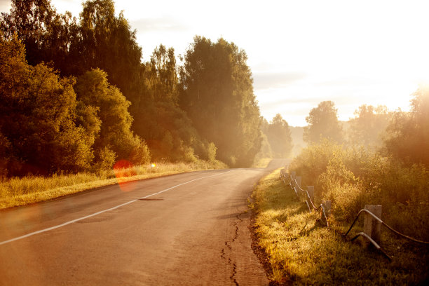 这条路在黎明时分。俄罗斯。阿尔泰图片下载