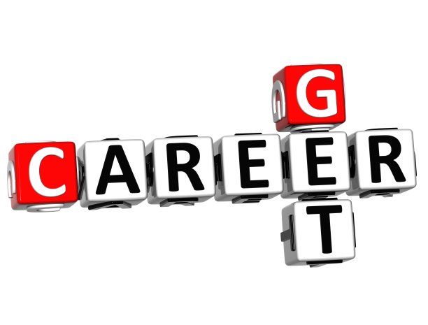 3D计划职业填字游戏图片下载