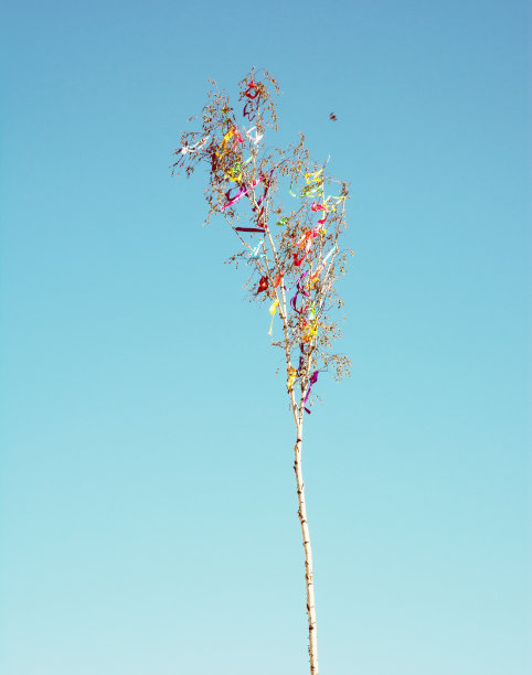 五月柱和蓝天，照片滤镜图片下载