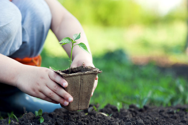 绿芽儿童之手图片下载