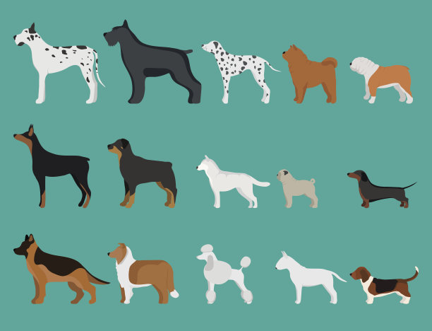 狗狗矢量图素材ID：158186038