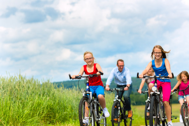 家庭自行车在乡村夏季景观图片下载