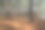 树林图片素材ID：158194378