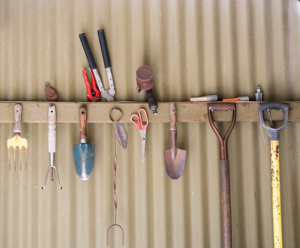 靠在棚子墙上的园艺工具图片下载