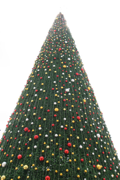 2014年12月7日，一棵巨大的圣诞树矗立在马来西亚吉隆坡图片下载