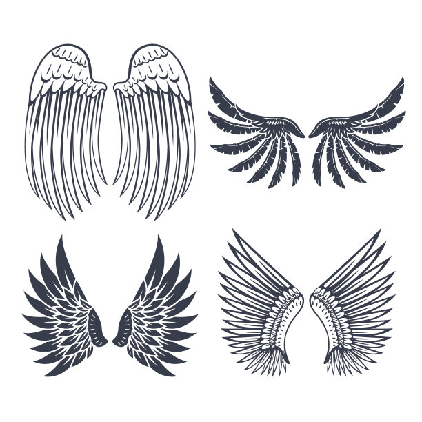 翅膀孤立动物羽毛羽翼鸟自由飞行自然和平设计矢量插图素材图片