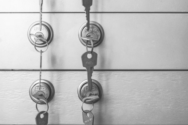 塞夫斯图片下载