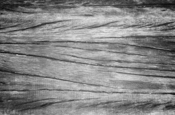 老木黑图片下载