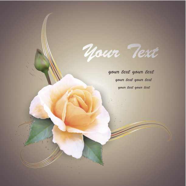 贺卡与玫瑰，矢量插图图片下载