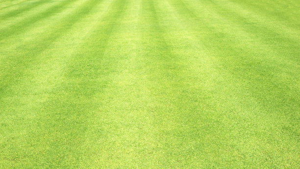 草地背景高尔夫球场绿色草坪图片下载