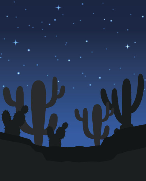 晚上有仙人掌的场景图片下载