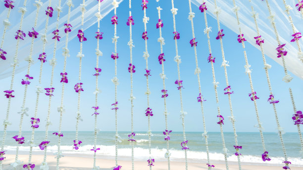 窗帘兰花花背景婚礼在海滩图片下载