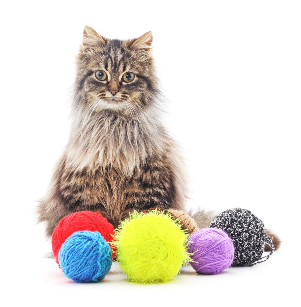 小猫和毛线团。图片下载