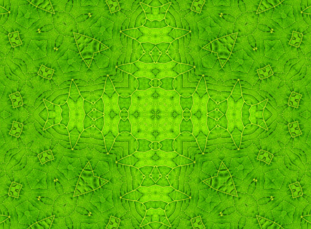 绿叶抽象图案图片下载