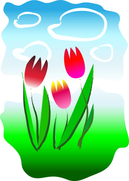 草坪上的郁金香图片下载