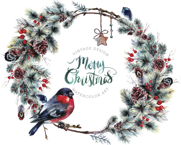 水彩圣诞花环的松枝素材图片