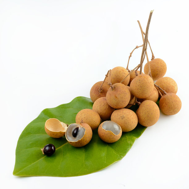 龙眼果实孤立于白色上素材图片