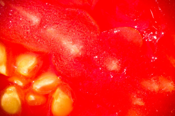 宏观的水果作为明亮的红色背景图片下载