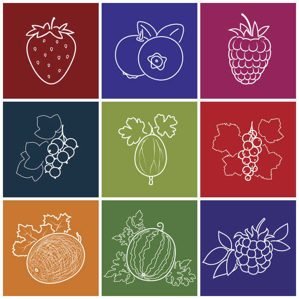 线性贝瑞图标图片下载