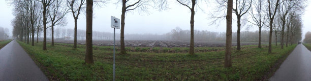 在秋天美丽的树木的方式-全景图片下载