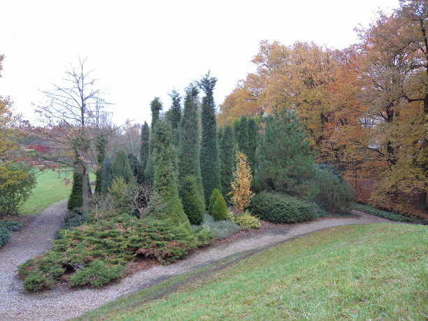 美丽的树木在秋天图片下载