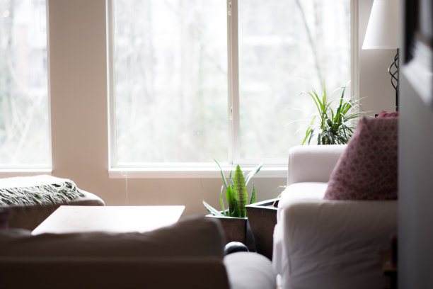 住在苏特布鲁克村的公寓，波特穆迪，不列颠哥伦比亚省图片下载