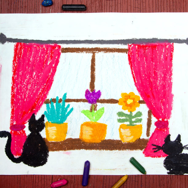 色彩鲜艳的图画:有窗帘的窗户，美丽的花朵和猫。图片下载