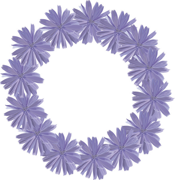 小圈的矢车菊图片下载