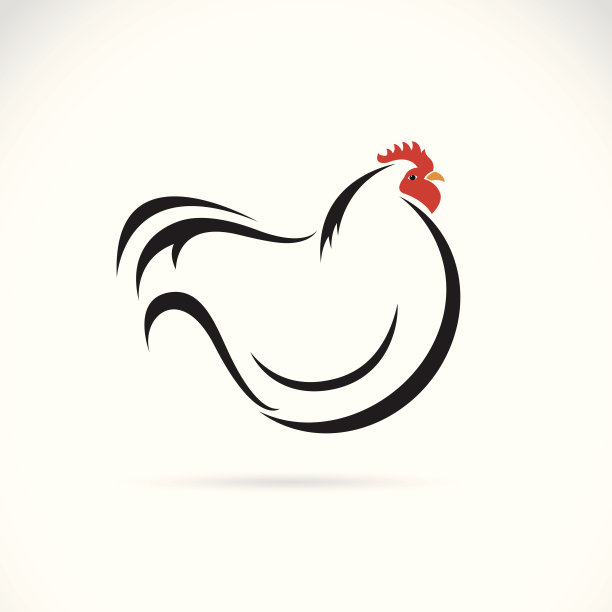 母鸡的向量图像图片下载