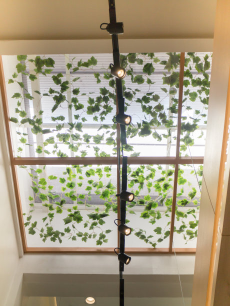 大厅透明玻璃天花板图片下载