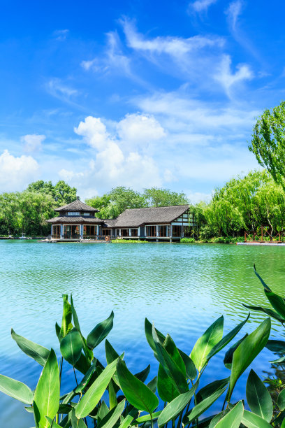 美丽的杭州西湖花园，中国的夏天图片下载