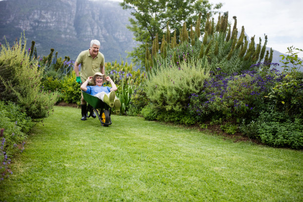 一个用独轮车抬着合伙人的老头儿图片下载