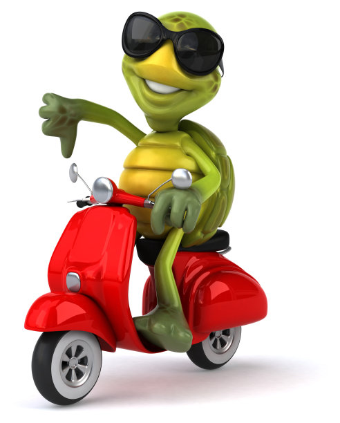 有趣的海龟图片下载