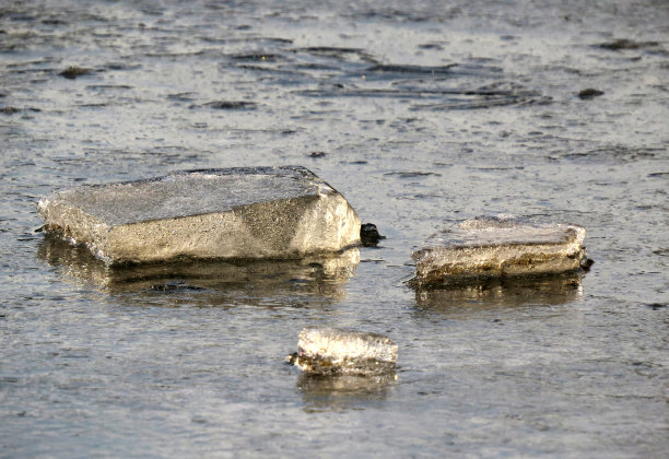 冰图片下载