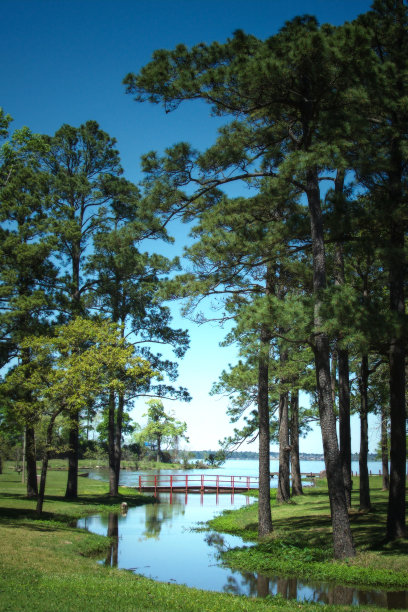 休斯顿湖的一条小溪。图片下载