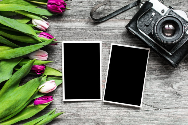 复古复古相机与空白相框和紫色郁金香fl图片下载