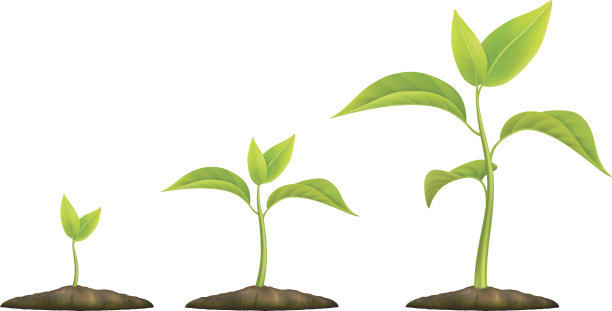 越来越多的绿色发芽图片下载