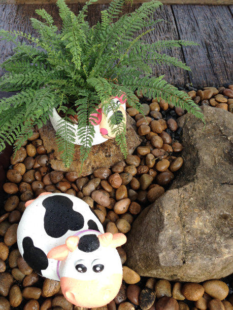 岩石动物娃娃在砾石花园里。图片下载