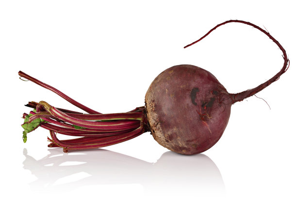 白色背景上的甜菜。图片下载