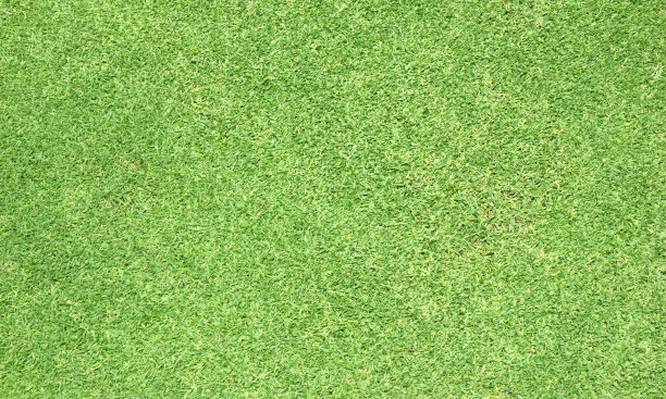 绿草的背景素材图片