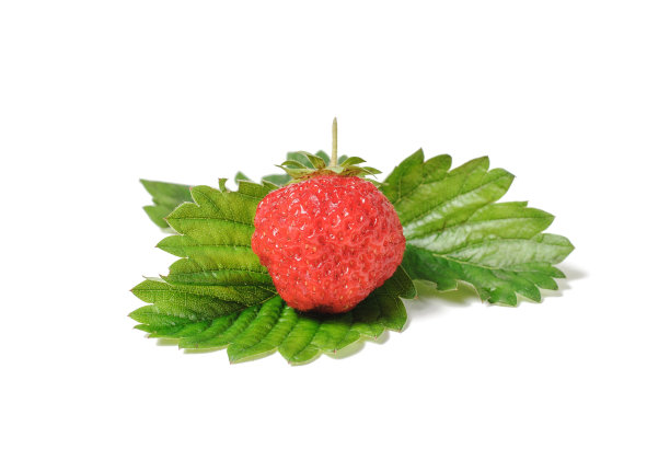 绿叶上的草莓图片下载