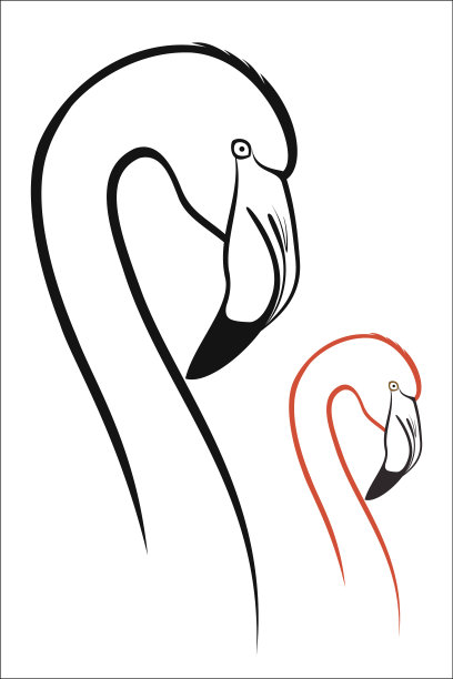 火烈鸟图片下载