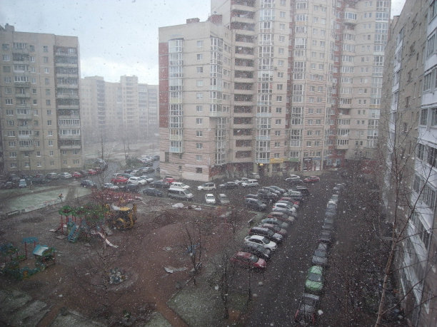 我的院子里会下雪。图片下载
